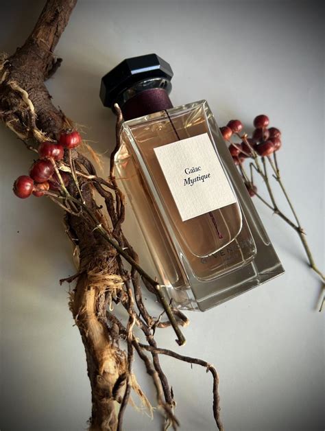 givenchy guaiac|Gaiac Mystique Givenchy for women and men.